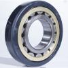 SKF insocoat NU 1012 ECP/C3VL0241 Insocoat bearing