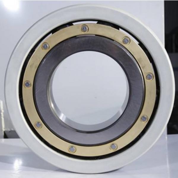 FAG Ceramic Coating NU314-E-M1-F1-J20B-C4 Insulation Hybrid Bearings #2 image