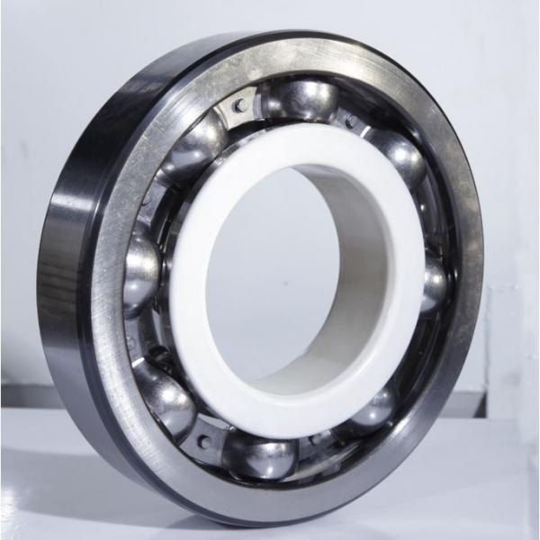 FAG Ceramic Coating NU314-E-M1-F1-J20B-C4 Insulation Hybrid Bearings #1 image
