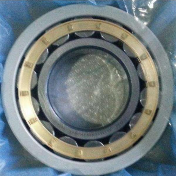 FAG Ceramic Coating NU314-E-M1-F1-J20B-C4 Insulation Hybrid Bearings #3 image